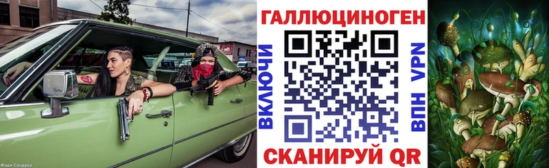 Галлюциногенные грибы Psilocybe  Сычёвка 